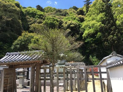 🪦 킷카와 가문 묘소(킷카와케보쇼) 이미지 2